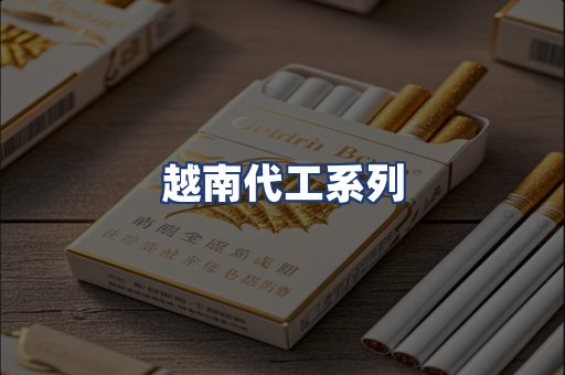 越南代工系列